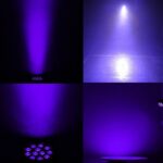 12pcs Ultraviolet UV Par Light Dyeing Background