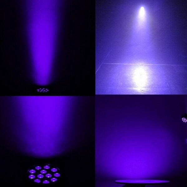 12pcs Ultraviolet UV Par Light Dyeing Background