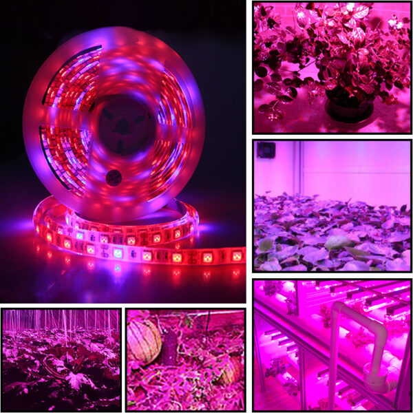 5050Led plant growth soft light bar 5M