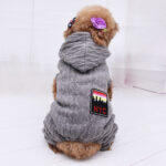 Four-legged thick pet clothes