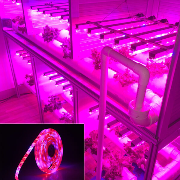 5050Led plant growth soft light bar 5M