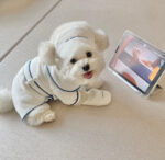 INS Wind Hotel Wind Pet Bathrobe Photo Props Pajamas