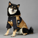 Dog Large Dog Raincoat Pet Jacket