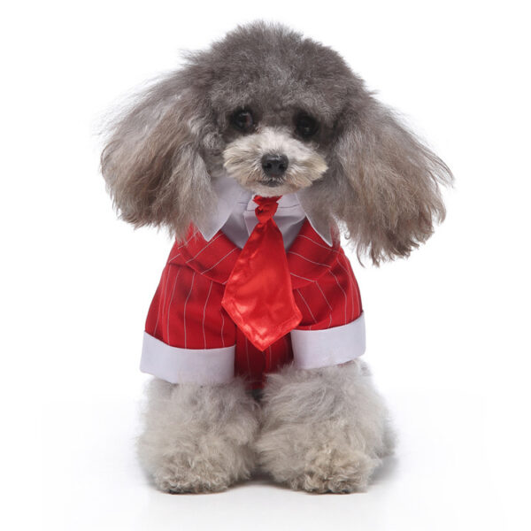 Amazon's pet dog clothes suit