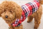 1 STÜCK Pet Kleidung Für Kleine Hunde Katzen Heiße Verkaufende Nette Hund Welpen Kleidung Hemd Plaid Größe XS/S/M/L Blau Rot Farbe D19