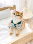 Cute Striped Polo Shirt Cat Clothes