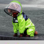 Fashion Personalized Small Dog Raincoat